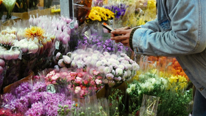 Saunter: Taipei Flower Market